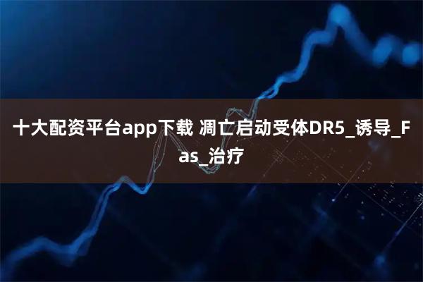 十大配资平台app下载 凋亡启动受体DR5_诱导_Fas_治疗