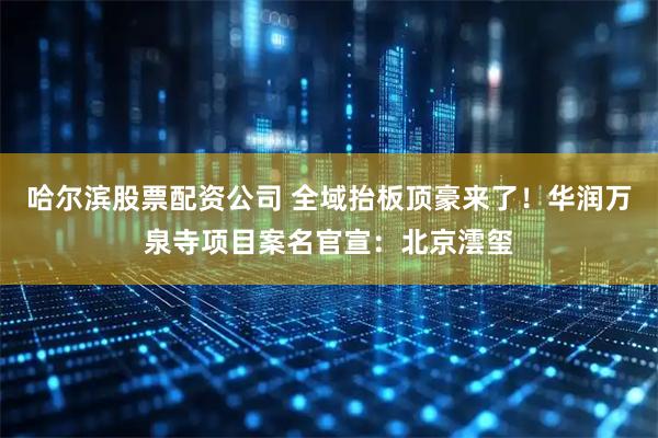 哈尔滨股票配资公司 全域抬板顶豪来了！华润万泉寺项目案名官宣：北京澐玺